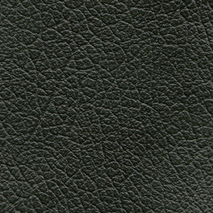 Pelle Buffalo colore Verde