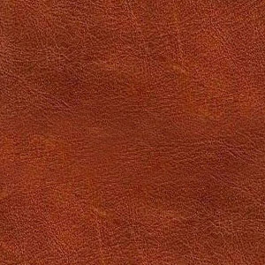 Pelle Sauvage colore Cognac