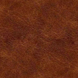 Pelle Sauvage colore Ranch